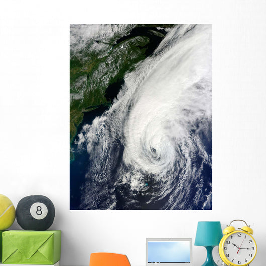 Hurricane Igor Wall Decal Design 1