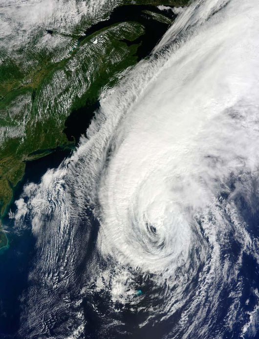Hurricane Igor Wall Decal Design 1