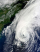Hurricane Igor Wall Decal Design 1