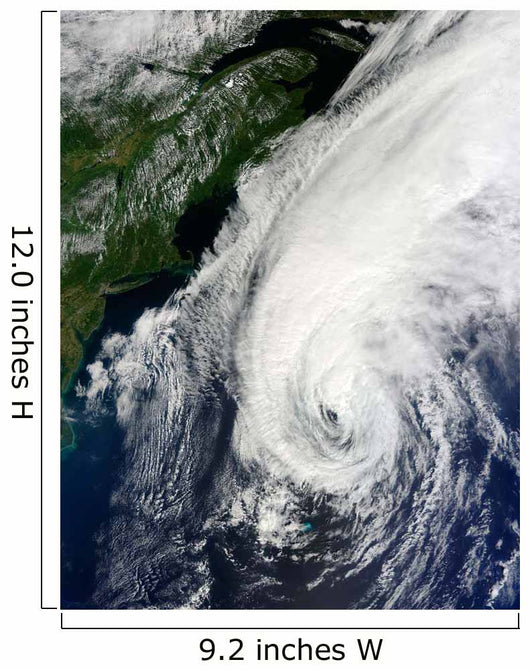 Hurricane Igor Wall Decal Design 1