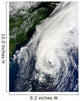 Hurricane Igor Wall Decal Design 1