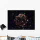 Detailed Tattered Remains Supernova Wall Decal