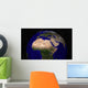 Global Earth over North Wall Decal