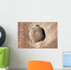 Meteorite Impact Crater Northern Wall Decal