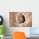 Meteorite Impact Crater Northern Wall Decal