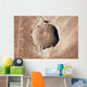 Meteorite Impact Crater Northern Wall Decal