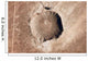 Meteorite Impact Crater Northern Wall Decal