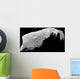 Asteroid 243 Ida Wall Decal