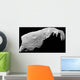 Asteroid 243 Ida Wall Decal