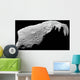 Asteroid 243 Ida Wall Decal