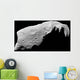 Asteroid 243 Ida Wall Decal