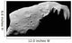 Asteroid 243 Ida Wall Decal