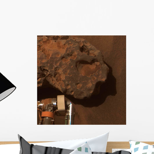 Close-up Mars Meteorite Known Wall Decal