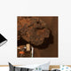 Close-up Mars Meteorite Known Wall Decal