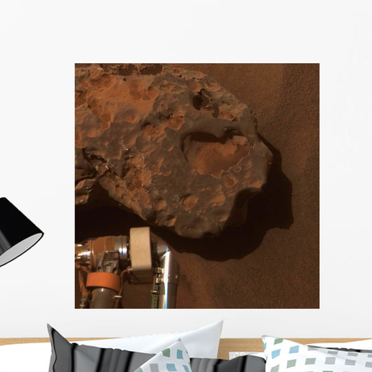 Close-up Mars Meteorite Known Wall Decal