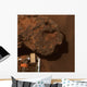 Close-up Mars Meteorite Known Wall Decal