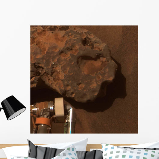 Close-up Mars Meteorite Known Wall Decal