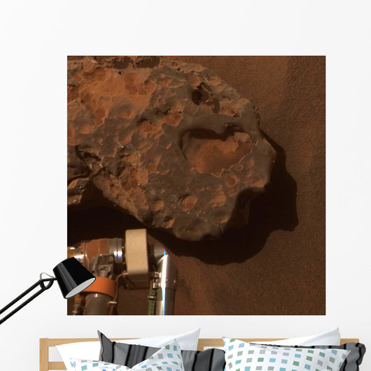 Close-up Mars Meteorite Known Wall Decal
