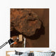 Close-up Mars Meteorite Known Wall Decal