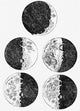 Galileo's Drawings Phases Moon Wall Decal Sticker Set Wall Decal