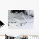 Banzare Sabrina and Budd Wall Decal