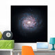 Face-on Spiral Galaxy Ngc Wall Decal