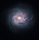 Face-on Spiral Galaxy Ngc Wall Decal
