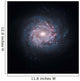 Face-on Spiral Galaxy Ngc Wall Decal