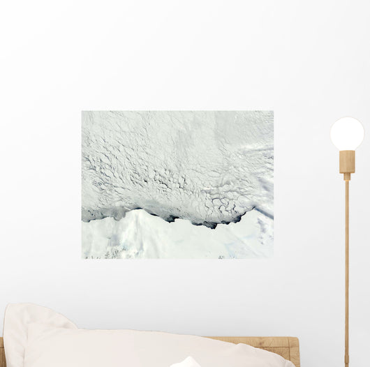 Early Spring Antarctic Wall Decal