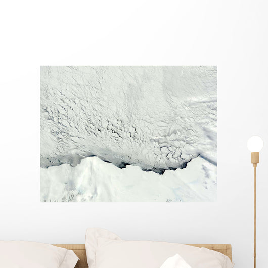 Early Spring Antarctic Wall Decal