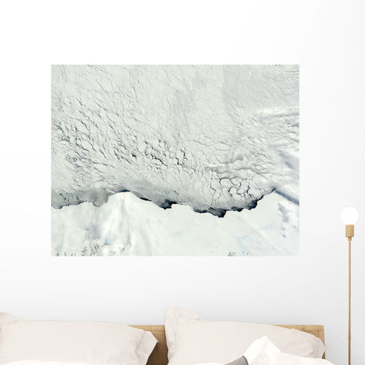 Early Spring Antarctic Wall Decal