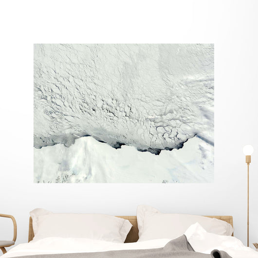 Early Spring Antarctic Wall Decal