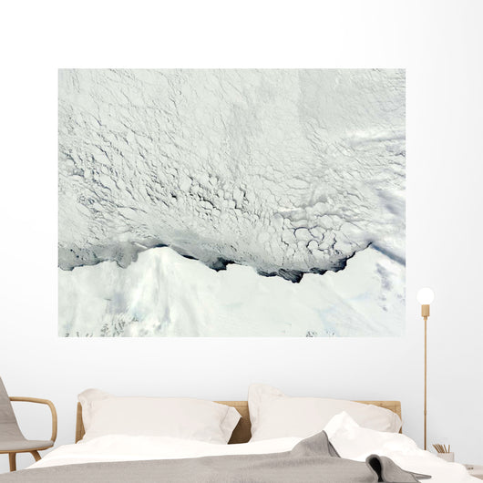 Early Spring Antarctic Wall Decal