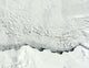 Early Spring Antarctic Wall Decal