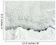 Early Spring Antarctic Wall Decal