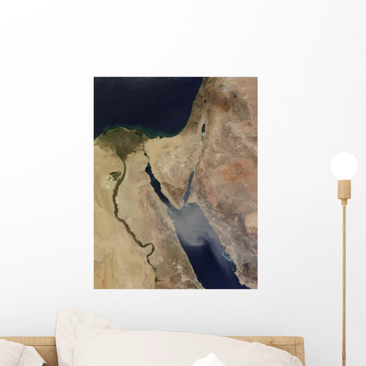 Cloud Tan Dust from Wall Decal