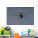 Soyuz Tma-19 Spacecraft Wall Decal Design 2