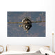 Soyuz Tma-19 Spacecraft Wall Decal Design 1