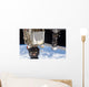Soyuz Tma-19 Spacecraft and Wall Decal