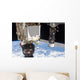 Soyuz Tma-19 Spacecraft and Wall Decal