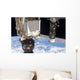 Soyuz Tma-19 Spacecraft and Wall Decal