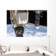 Soyuz Tma-19 Spacecraft and Wall Decal