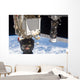 Soyuz Tma-19 Spacecraft and Wall Decal