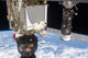 Soyuz Tma-19 Spacecraft and Wall Decal