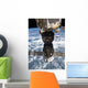 Soyuz Tma-19 Spacecraft Docked Wall Decal