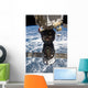 Soyuz Tma-19 Spacecraft Docked Wall Decal