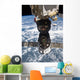 Soyuz Tma-19 Spacecraft Docked Wall Decal