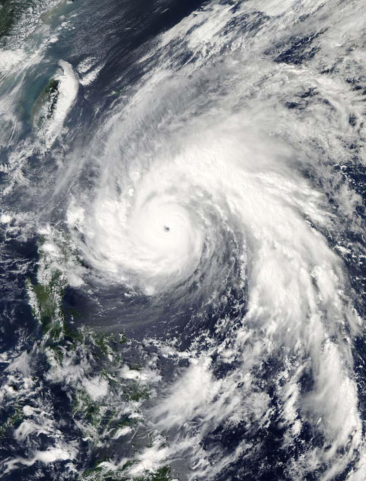 Super Typhoon Megi Wall Decal