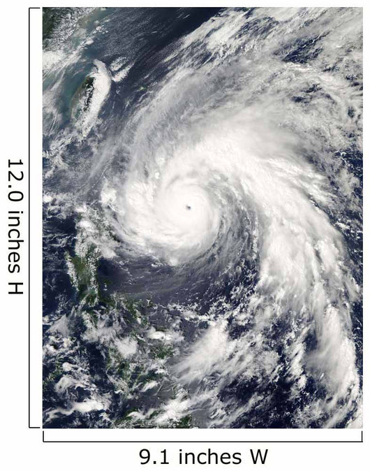 Super Typhoon Megi Wall Decal