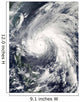 Super Typhoon Megi Wall Decal
